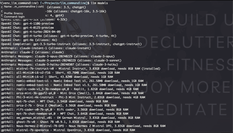 Running LLM in Command-Line? Yes, please!